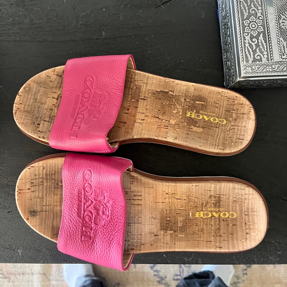 Leather coach slides